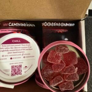 camino sours